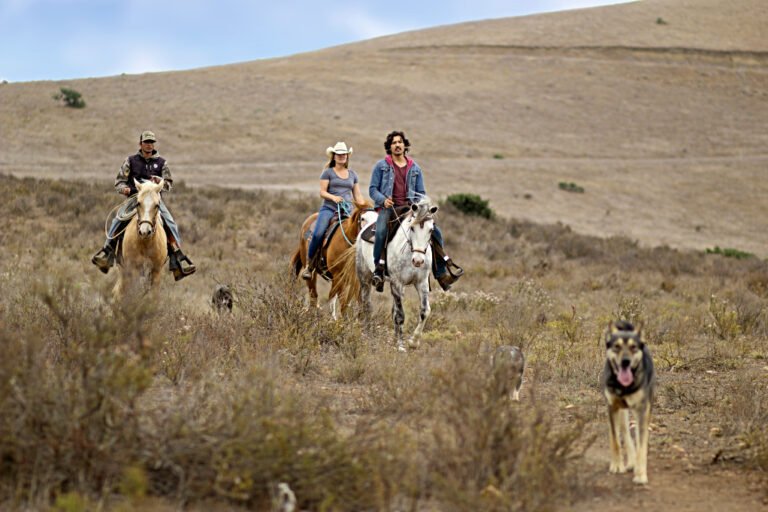 actividades al aire libre en un rancho
