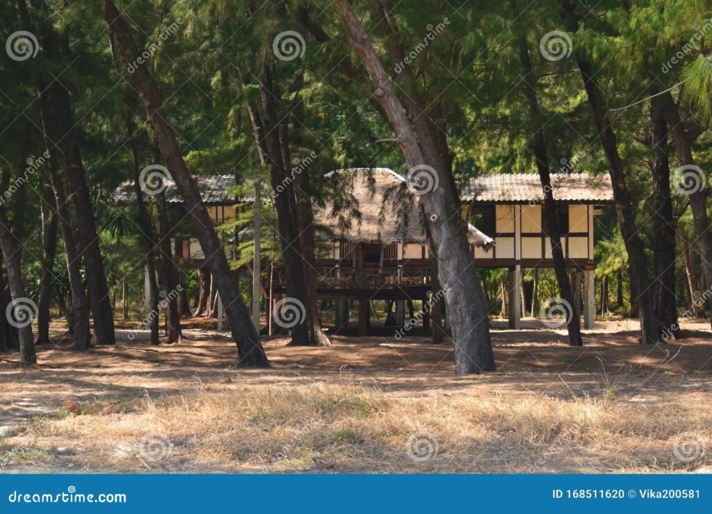 Dónde se encuentran los Apartamentos Casa del Bosque y qué ofrecen 4 Dónde se encuentran los Apartamentos Casa del Bosque y qué ofrecen