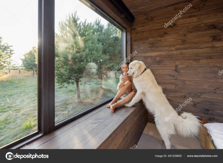 Dónde encontrar cabañas pet friendly en Tandil para disfrutar con tu mascota 6 cabana acogedora con perro en la naturaleza