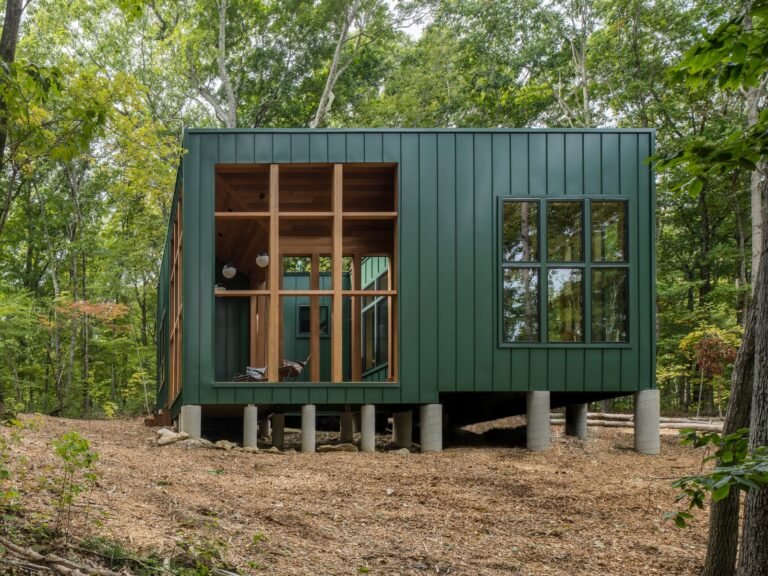 cabana acogedora en un bosque verde