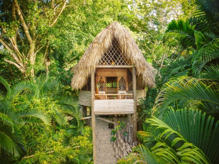 cabanas boutique en un bosque sereno