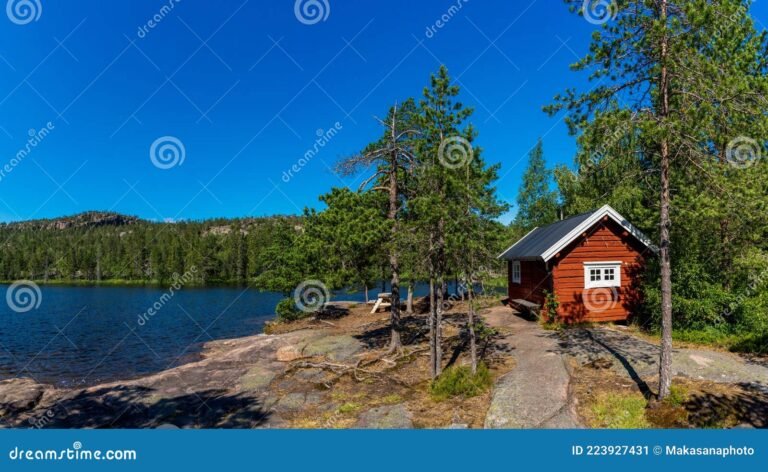 cabanas en un bosque costero
