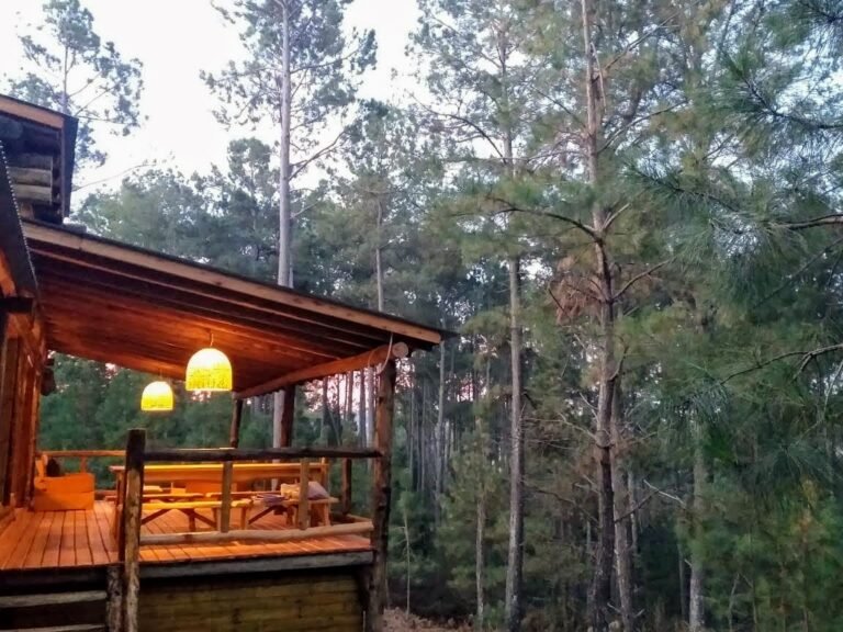 cabanas en un bosque de cordoba