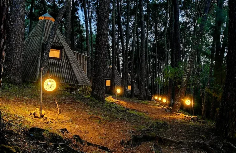 cabanas en un bosque tranquilo y natural