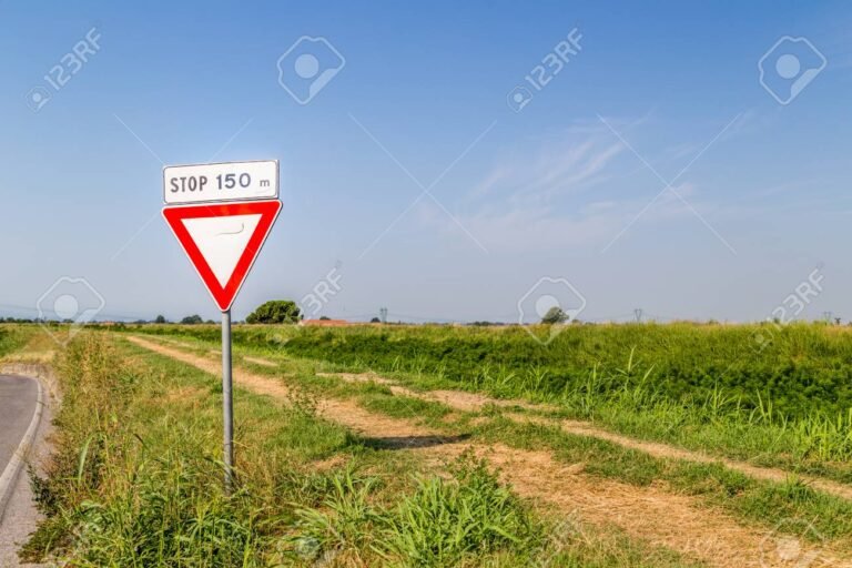 camino con senales de trafico