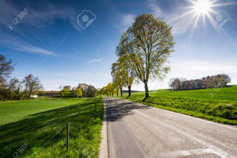camino rural entre arboles y paisajes