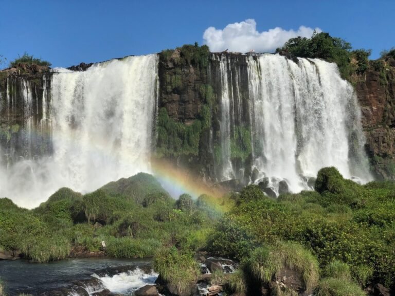 cataratas del iguazu en medio de la selva