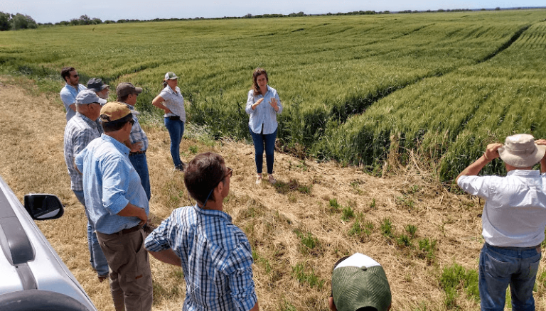 chacras de tierra cultivada en argentina