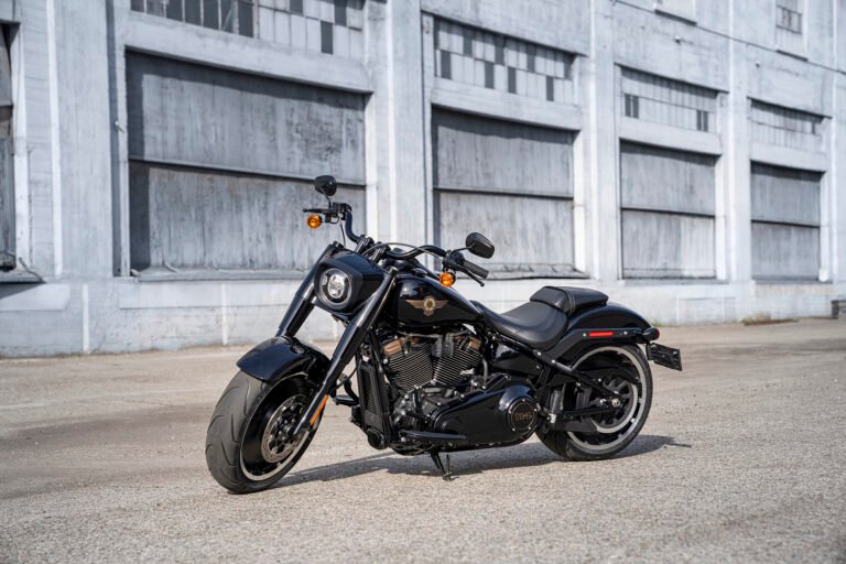 harley davidson fat boy en carretera abierta