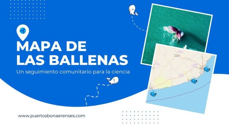 mapa de mar del plata con marcadores