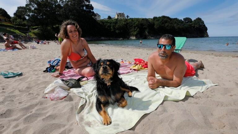 Dónde encontrar alojamiento pet friendly en Valeria del Mar 4 mascotas disfrutando en una playa soleada