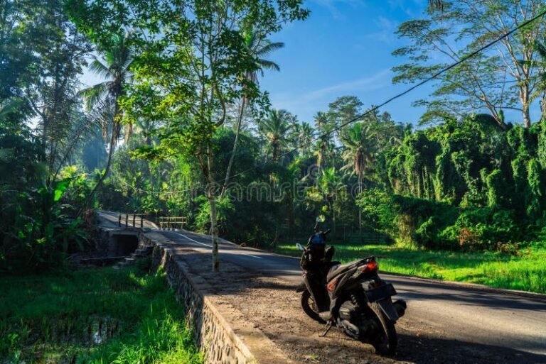 moto en una carretera con fondo natural