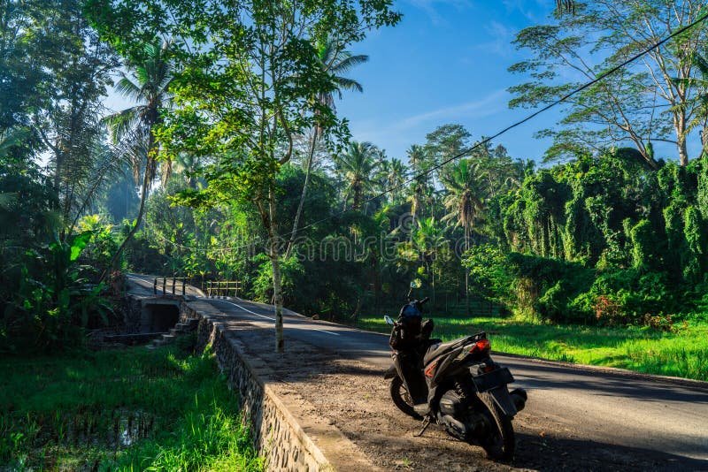 Cómo puedo buscar información de una moto utilizando su patente 5 Cómo puedo buscar información de una moto utilizando su patente