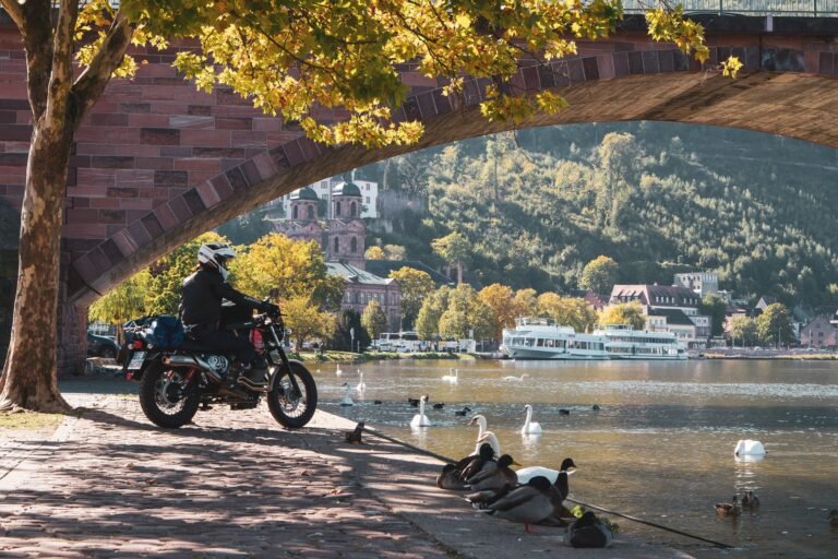 motos en carretera con paisajes impresionantes 1