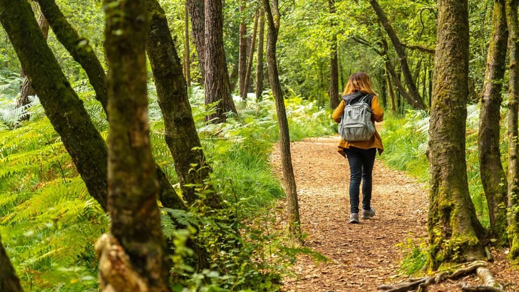 Qué actividades puedes disfrutar en la Estancia Laguna Escondida, Villa María