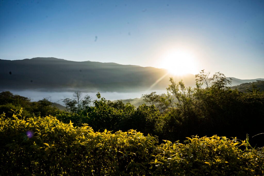 Qué es Tierra de Sueños Arroyo Seco y qué ofrece a sus visitantes