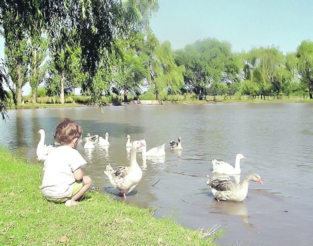 Dónde encontrar alquileres de quinta en El Pato para disfrutar