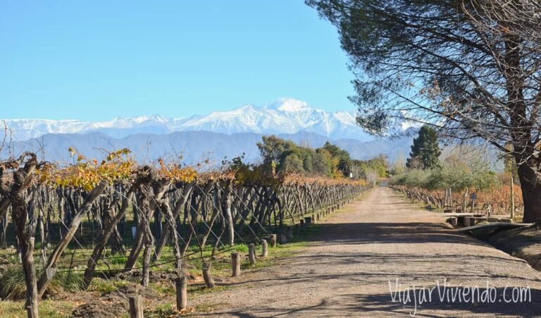 Qué lugares interesantes visitar en Entre Dos, Luján de Cuyo 7 paisaje de vinedos en lujan de cuyo