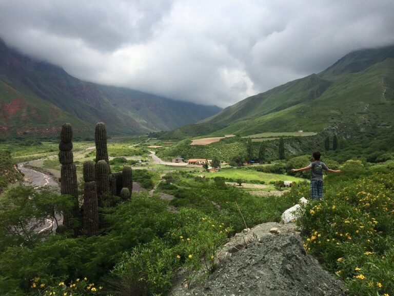 paisaje natural de salta con montanas