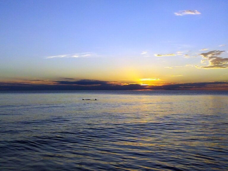 Qué atractivos turísticos ofrece Costa Chica en Las Toninas 22 playa de las toninas al atardecer
