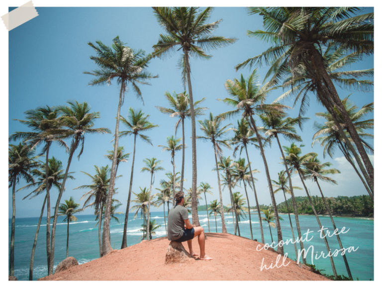 playa paradisiaca con palmeras y surfistas