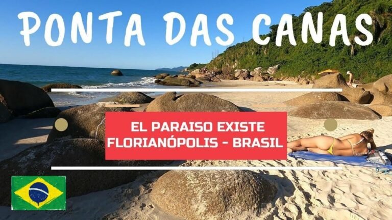 Qué actividades y servicios ofrece Ponta das Canas Centro en Brasil 10 playa paradisiaca en ponta das canas