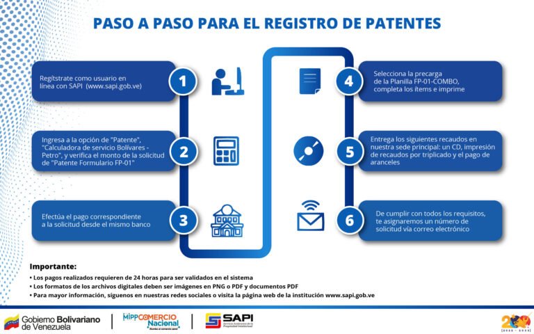 proceso de obtencion de patente automotor