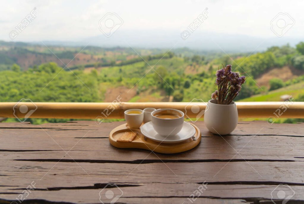 Qué actividades puedes disfrutar en La Cabaña Casa de Té en Ushuaia