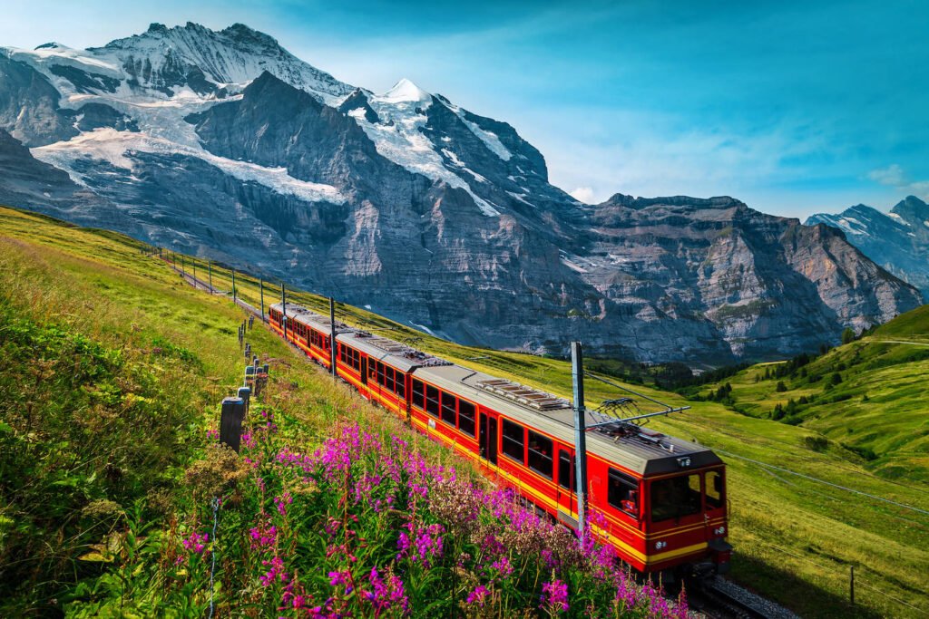 Cómo comprar pasajes en tren a Monte Hermoso de manera fácil 7 Cómo comprar pasajes en tren a Monte Hermoso de manera fácil