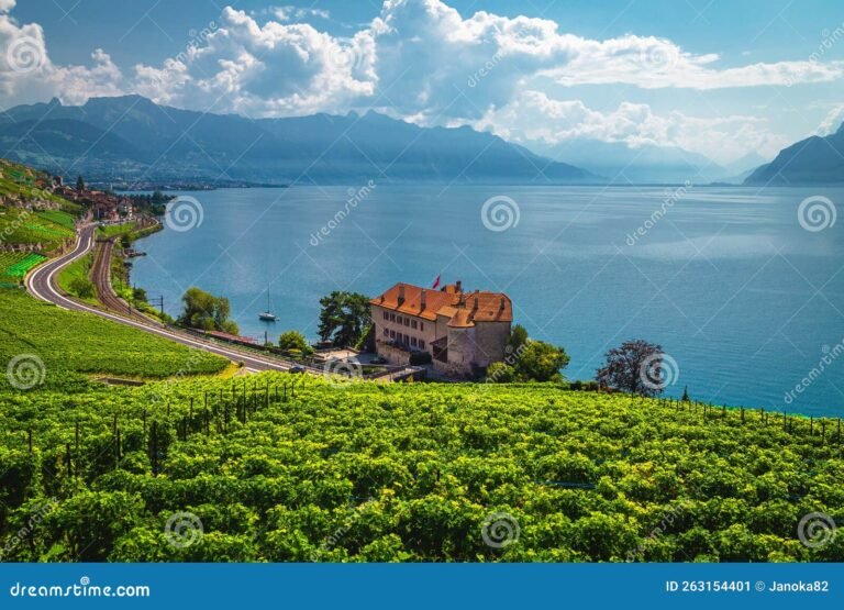 vinedos de vino en casas del lago