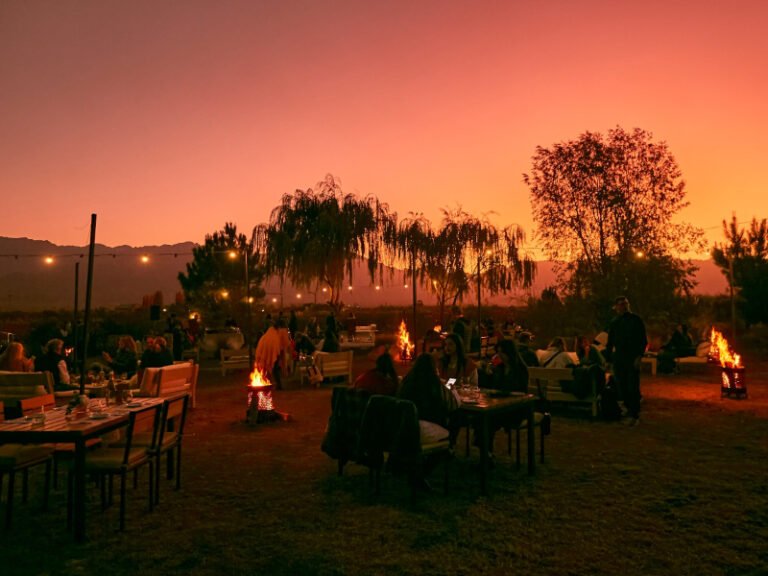 vineyards in mendoza argentina during sunset