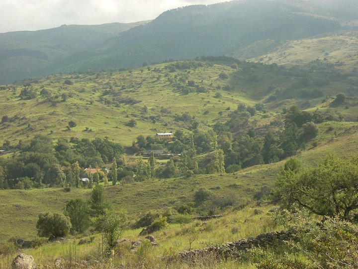 Qué servicios ofrece el colectivo Potrero de Garay y sus horarios