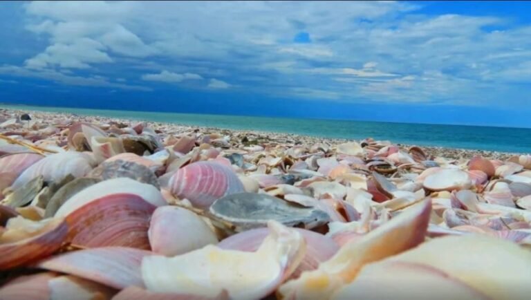 vista panoramica de saco viejo san antonio