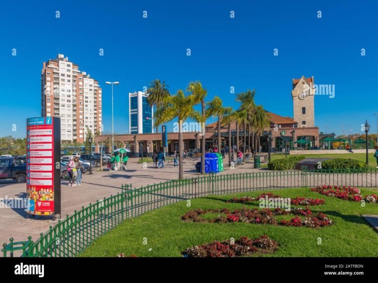 vista panoramica de tigre y su municipalidad