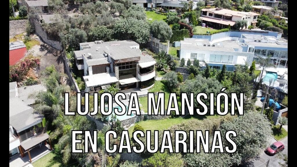 Qué lugares y servicios ofrece el barrio Las Casuarinas del Viso