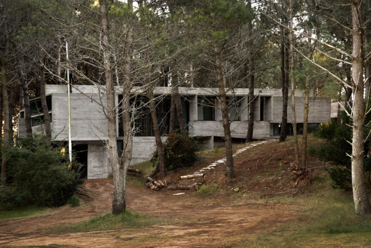 vista panoramica del bosque en valeria